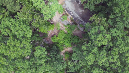 Drone Photography